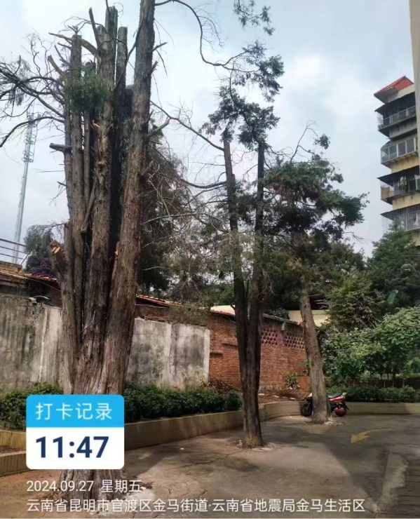 微信图片_20240929090403